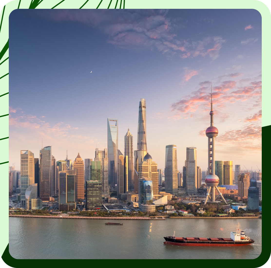 China Optimize Header